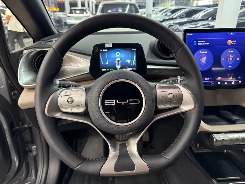 BYD Dolphin 2023 — фото 13