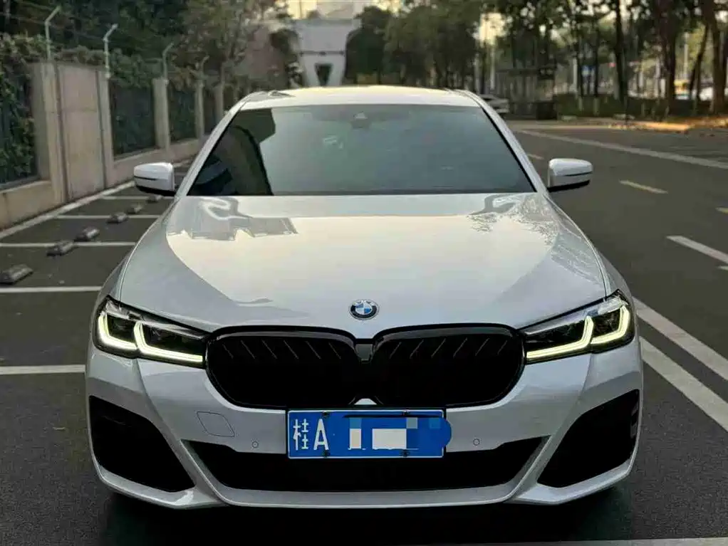 BMW 5 SERIES
