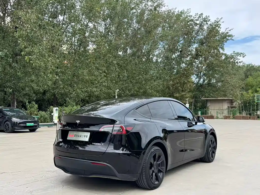 Tesla Model Y — миниатюра 4