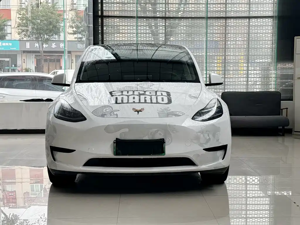 Tesla Model Y — миниатюра 3