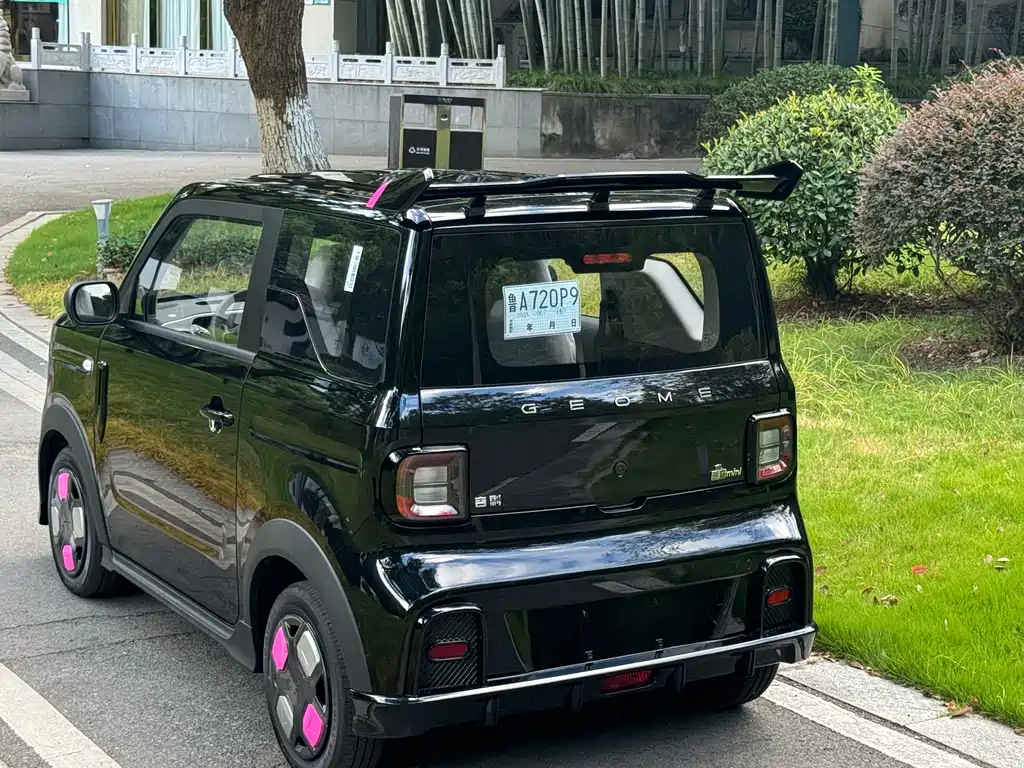 GEELY GALAXY PANDA