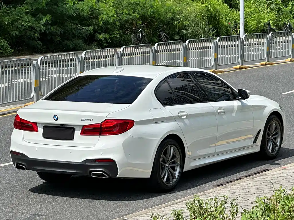 BMW 5 Series (Import) — миниатюра 5