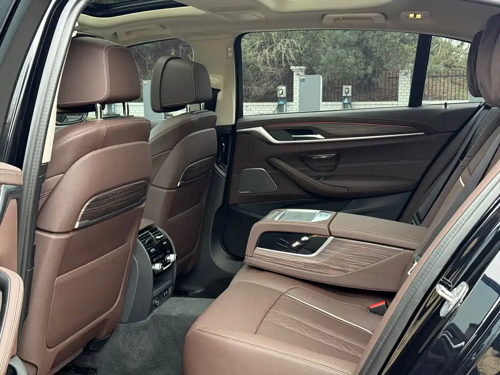 BMW 5 Series 5 2022 530Li Premium Luxury