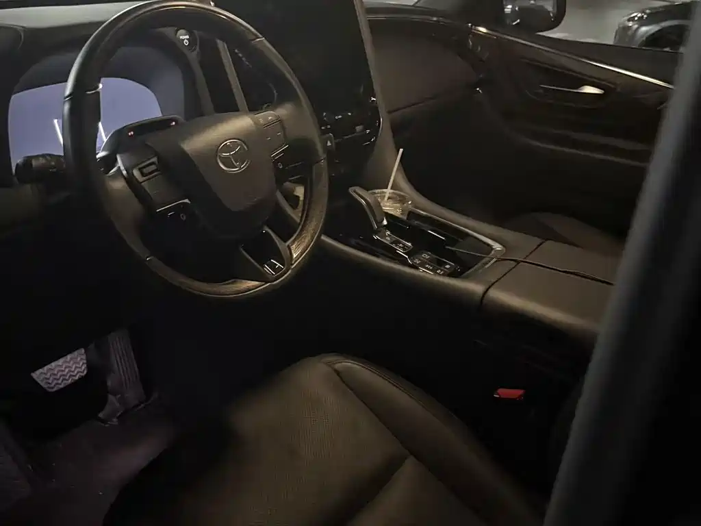Toyota Alphard — миниатюра 3
