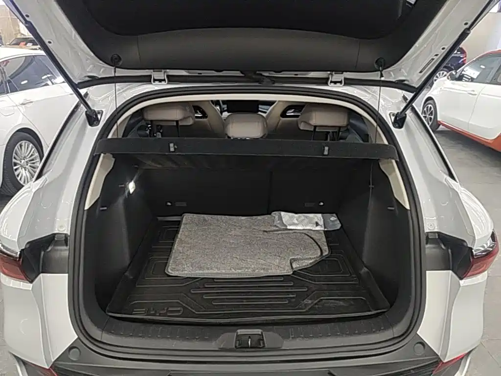BYD Yuan Plus — миниатюра 19