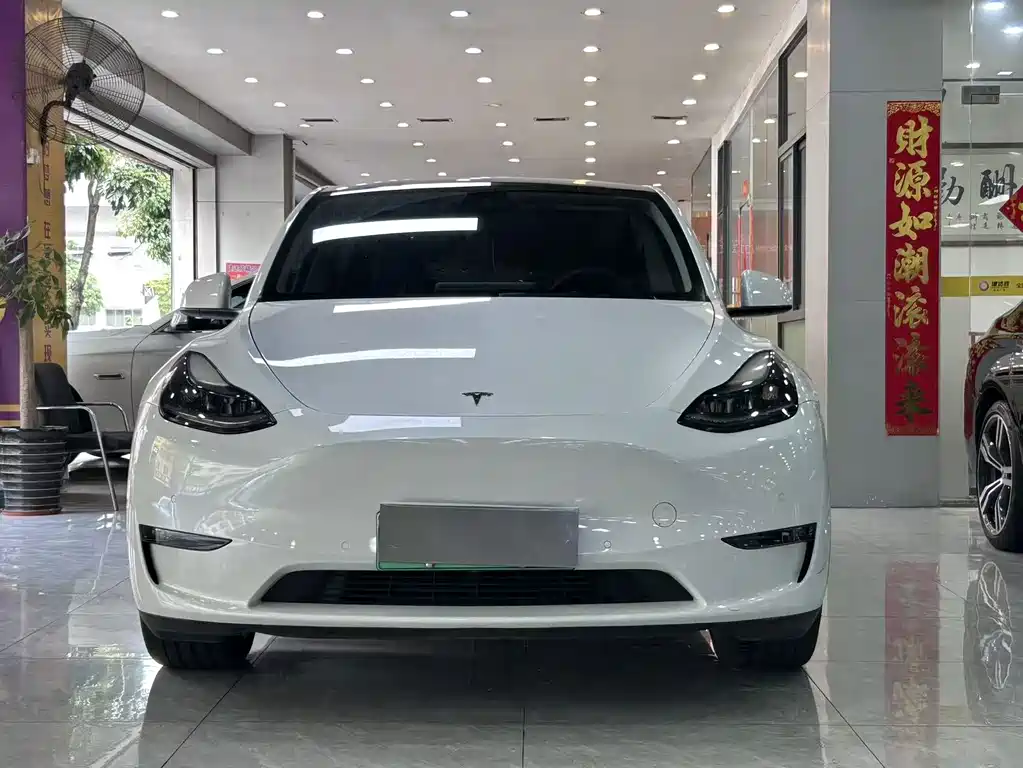 Tesla Model Y — миниатюра 2