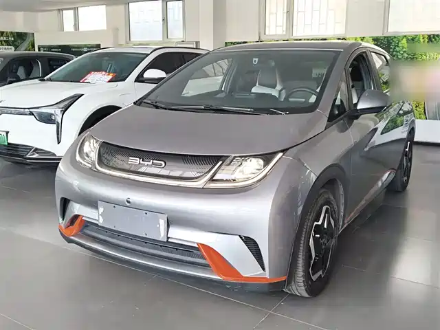 2022 BYD Dolphin