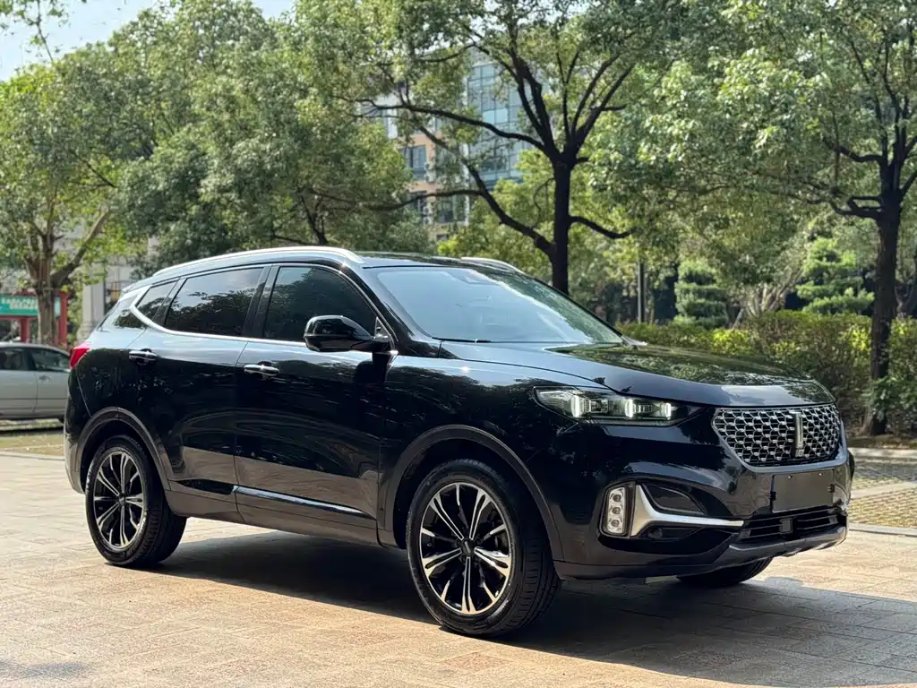 Wey Wey VV6 — миниатюра 2