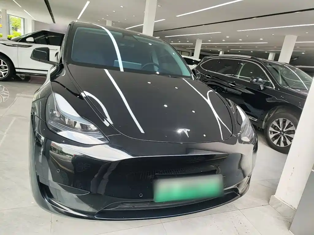 Tesla Model Y — миниатюра 3