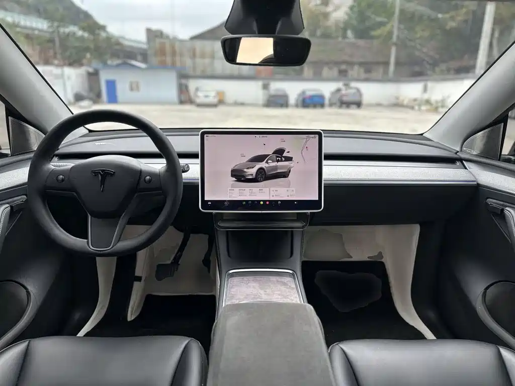 Tesla Model Y — миниатюра 10