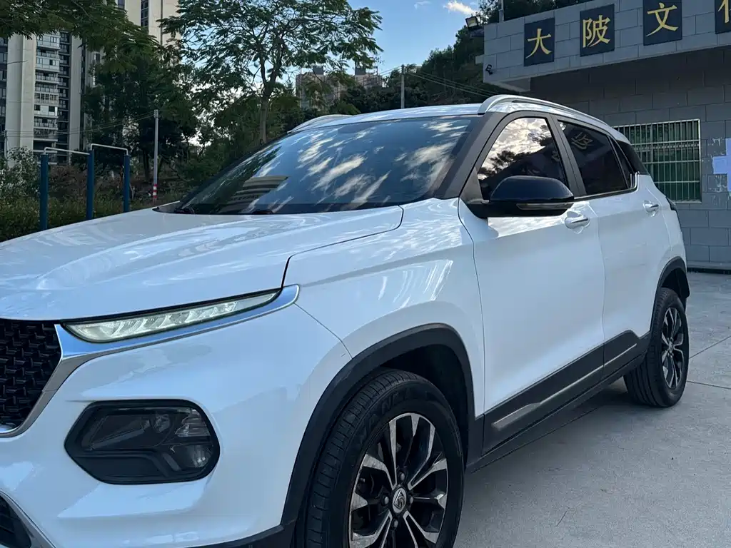 BAOJUN 510