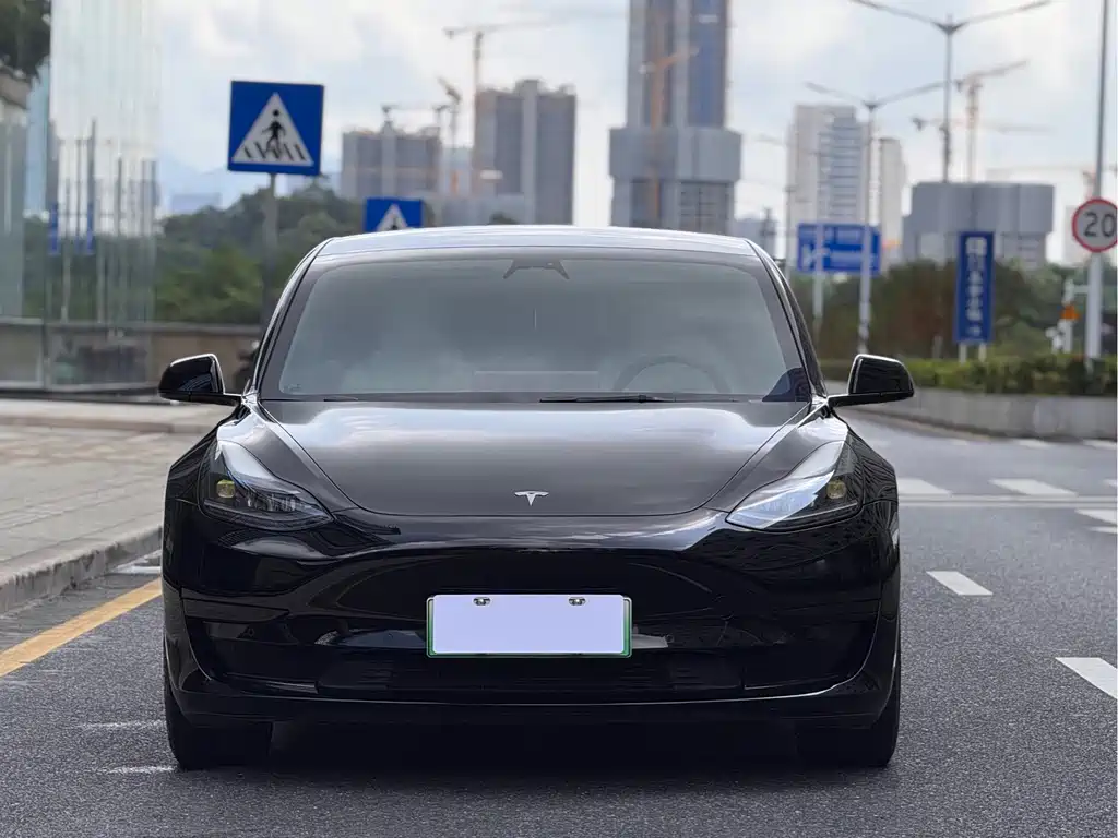 Tesla Model 3 — миниатюра 2