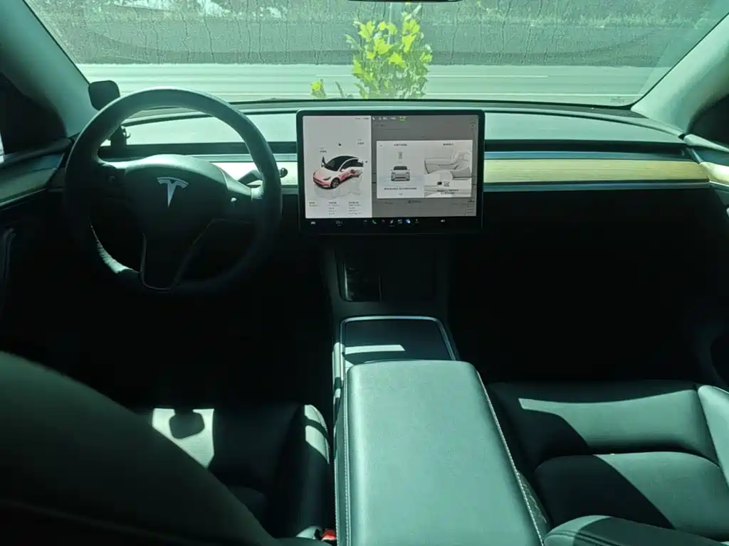 Tesla Model Y — миниатюра 10