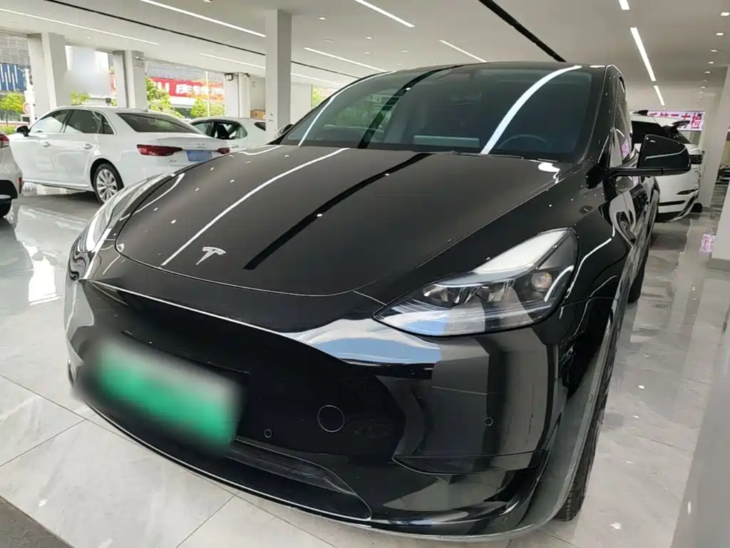 Tesla Model Y — миниатюра 2