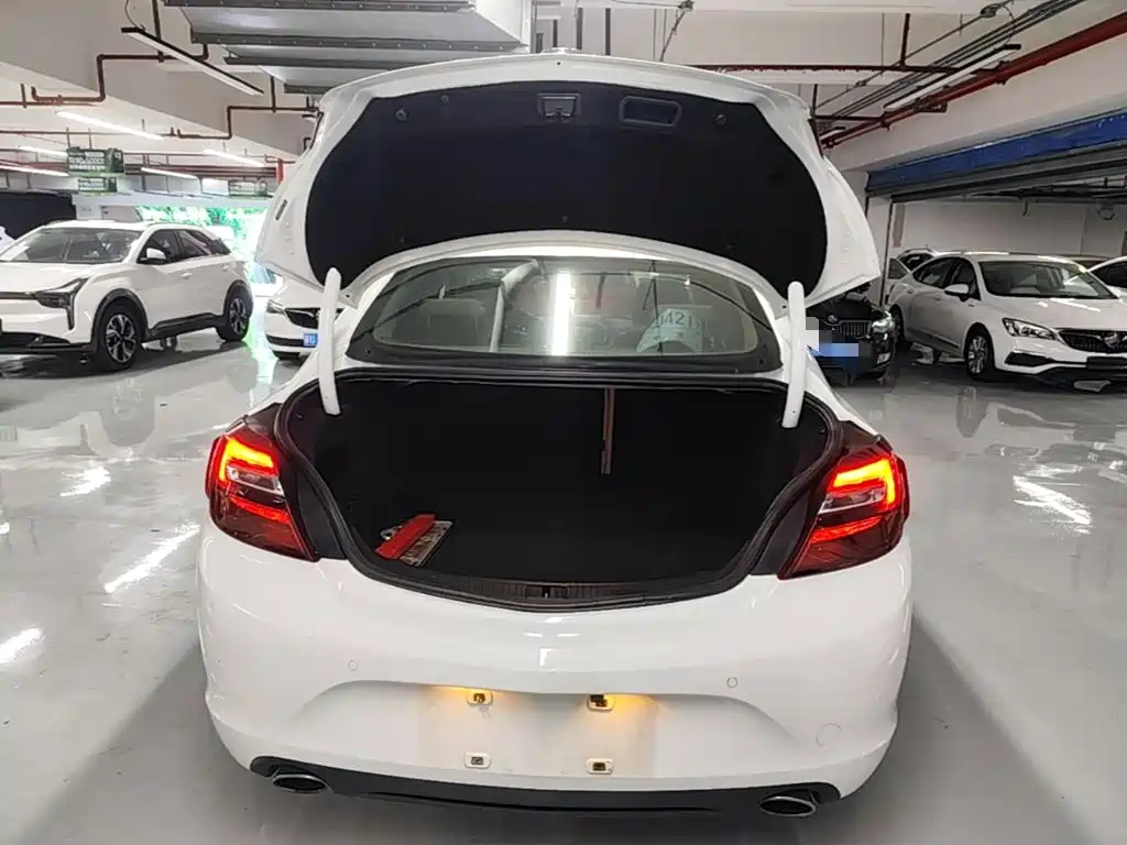 Buick Regal — миниатюра 19