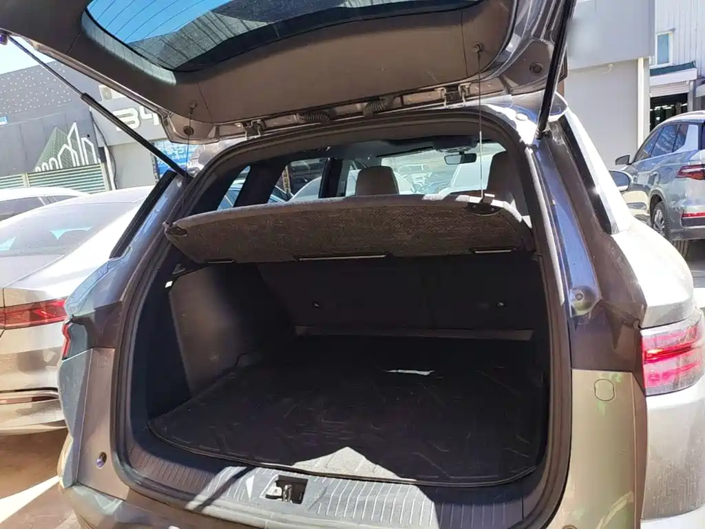 BYD Pro New Energy — миниатюра 19