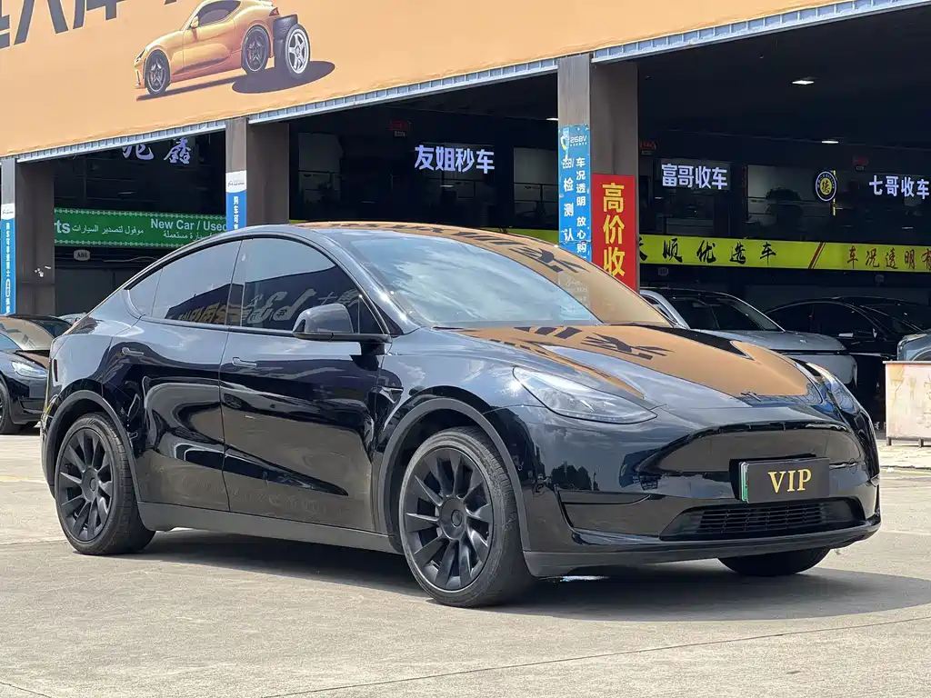 Tesla Model Y — миниатюра 3