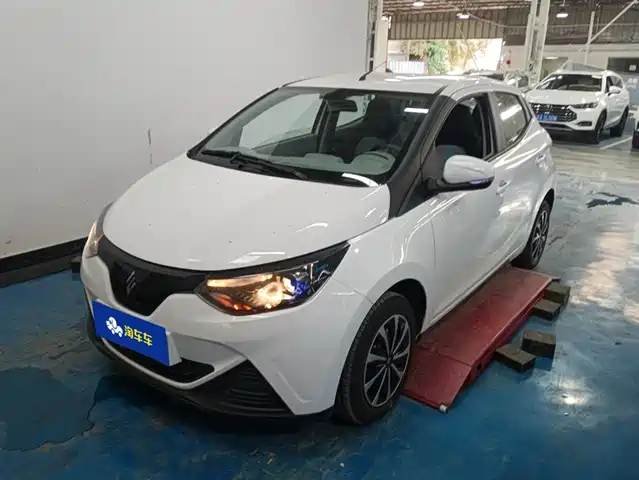 JIANGLING GROUP NEW ENERGY LITTLE UNICORN 2025