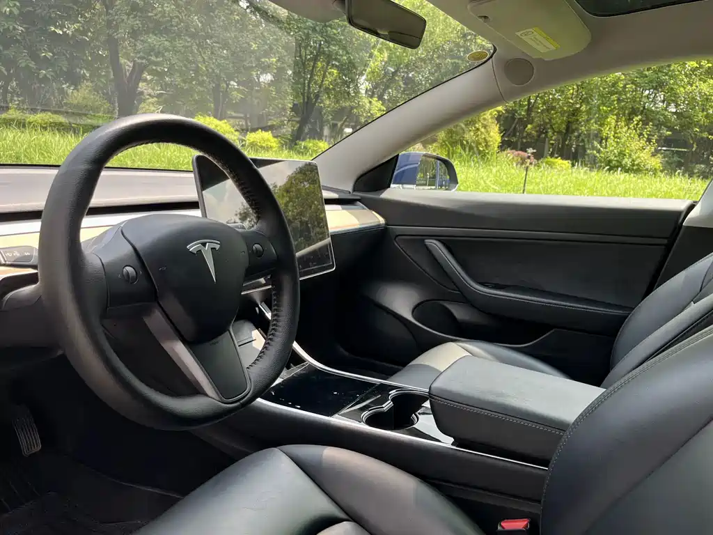 Tesla Model 3 — миниатюра 8