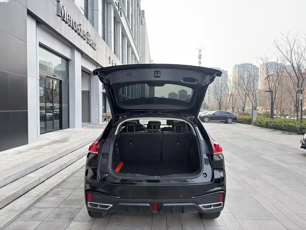 WEI PAI WEI BRAND VV5