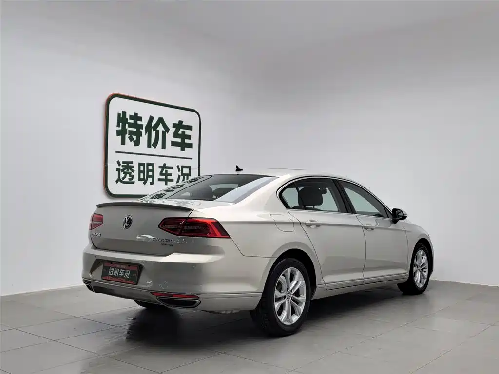 Volkswagen Magotan 2019 330TSI DSG Luxury VI