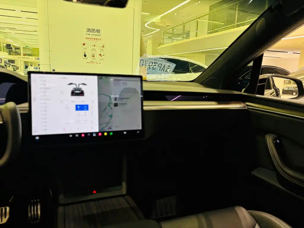 Tesla Model X — миниатюра 14