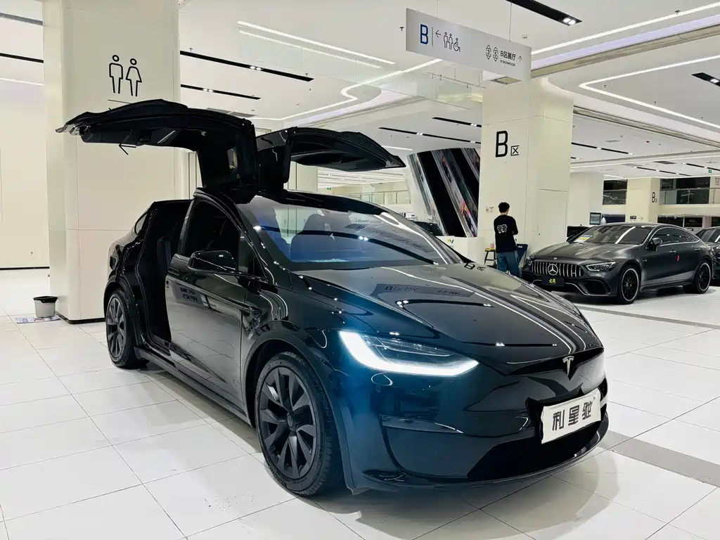 Tesla Model X — миниатюра 2