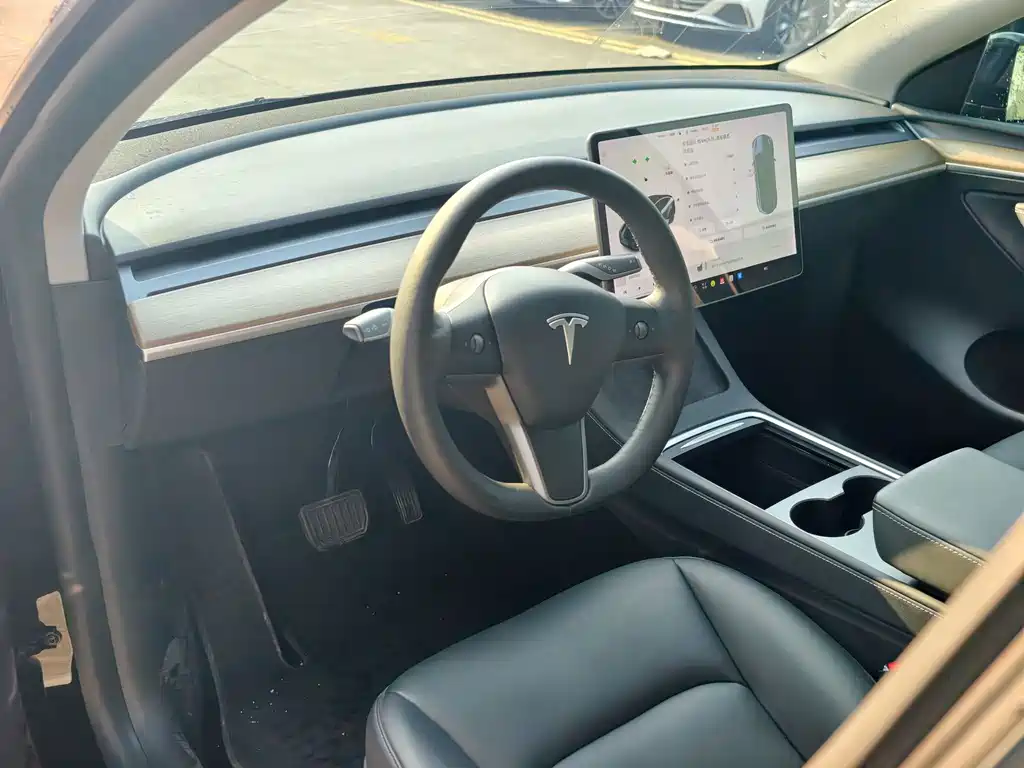 Tesla Model Y — миниатюра 15