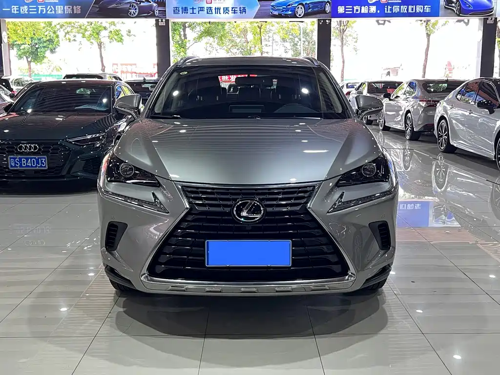 Lexus NX — миниатюра 2