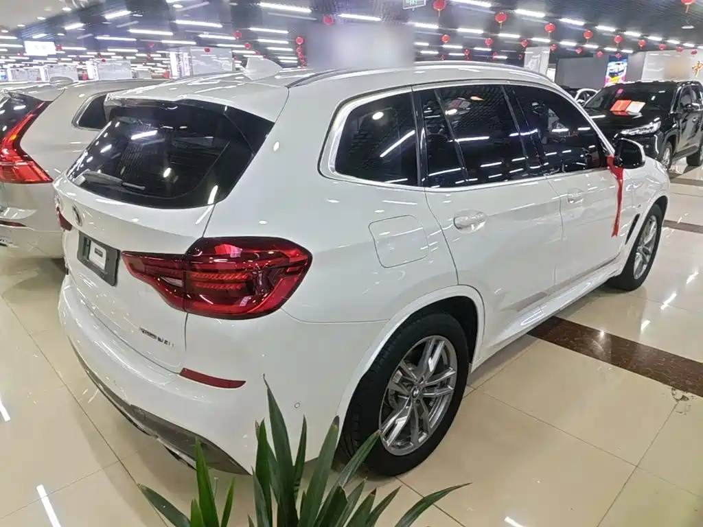 BMW X3 — миниатюра 7