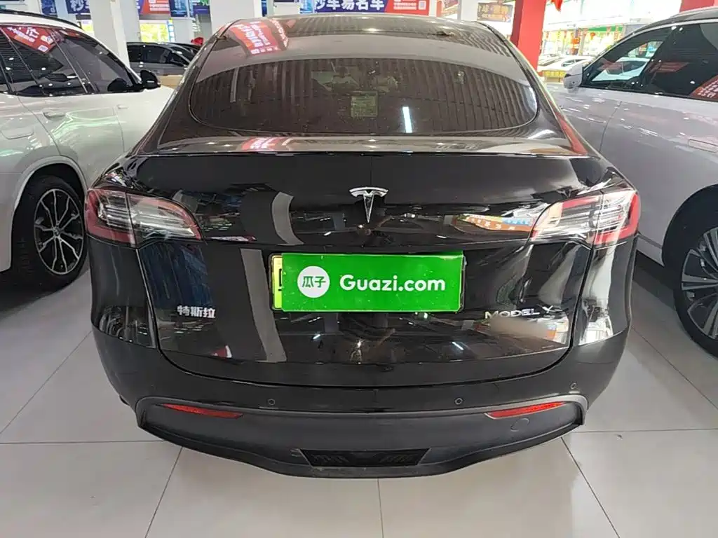 Tesla Model Y — миниатюра 6