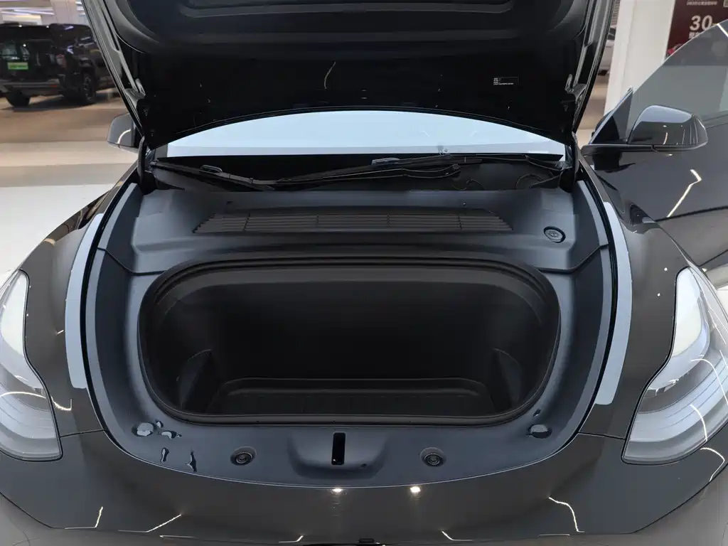 Tesla Model Y — миниатюра 22