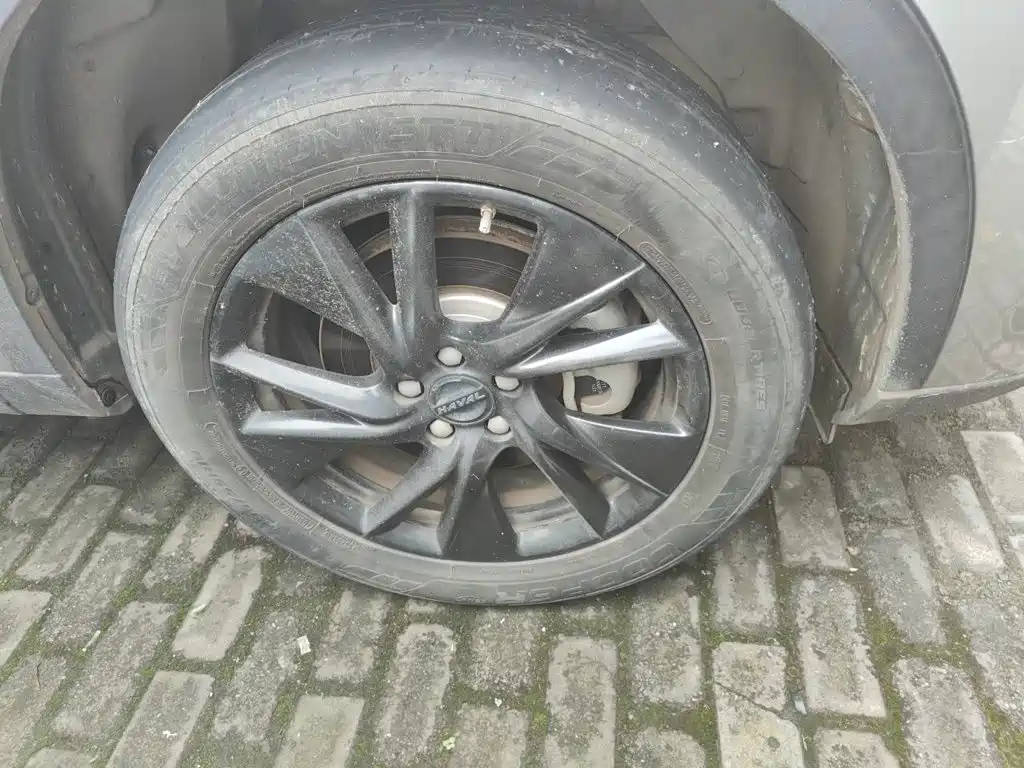 Haval H6 New Energy DHT-PHEV 110KM Joy Travel Edition, фото 8