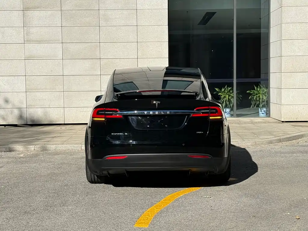 Tesla Model X — миниатюра 21