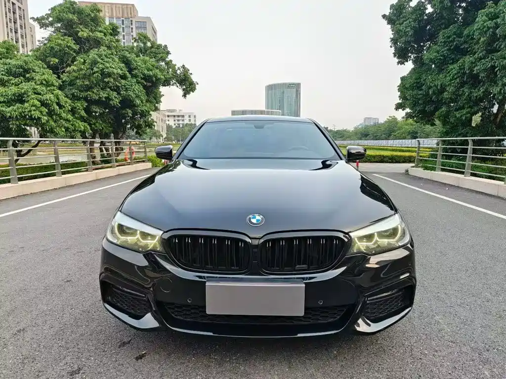 BMW 5 Series — миниатюра 2