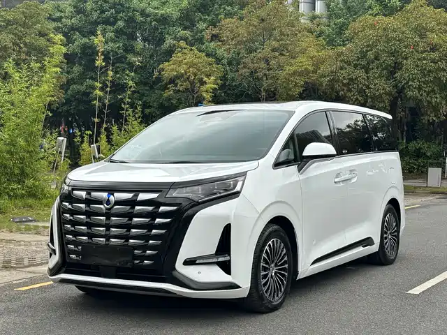 2023 Denza D9