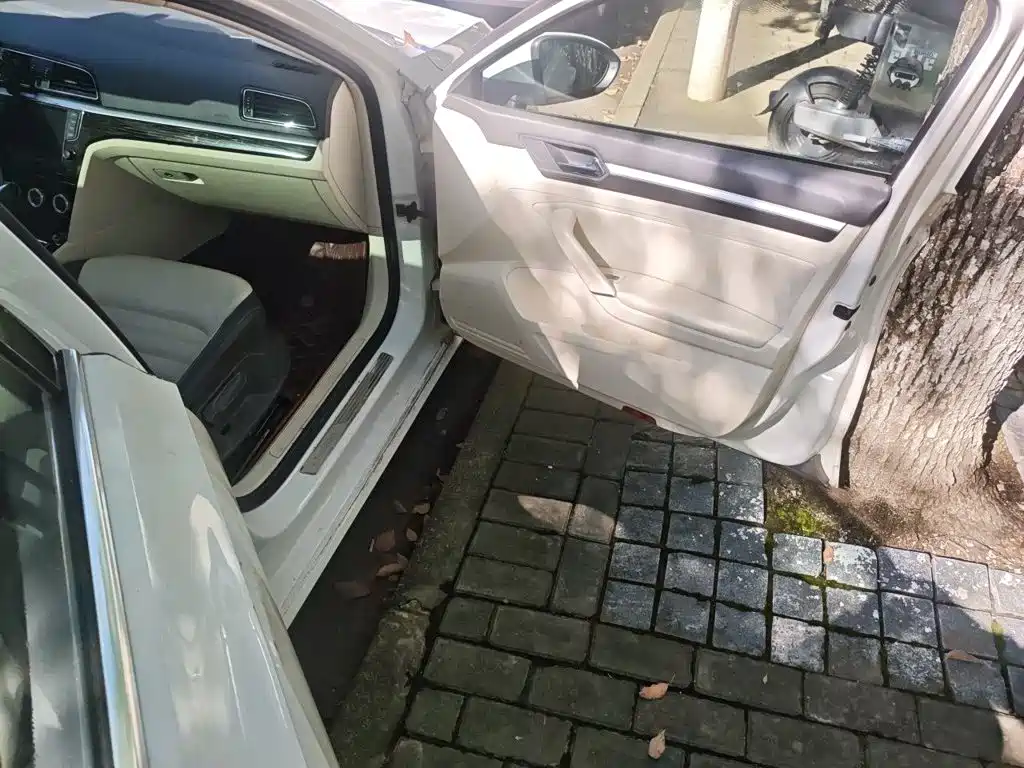 Volkswagen Lamando — миниатюра 18