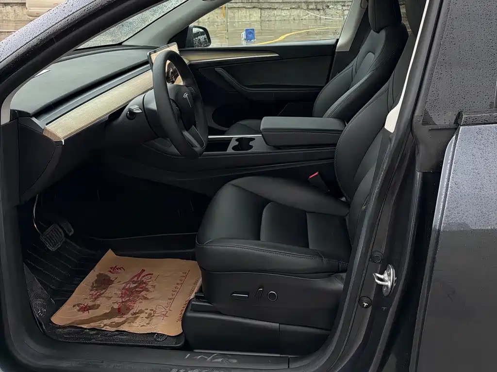 Tesla Model Y — миниатюра 6