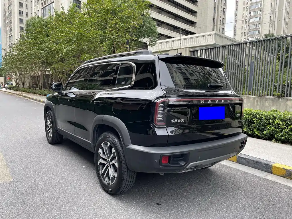 Haval 长城大狗 — миниатюра 7