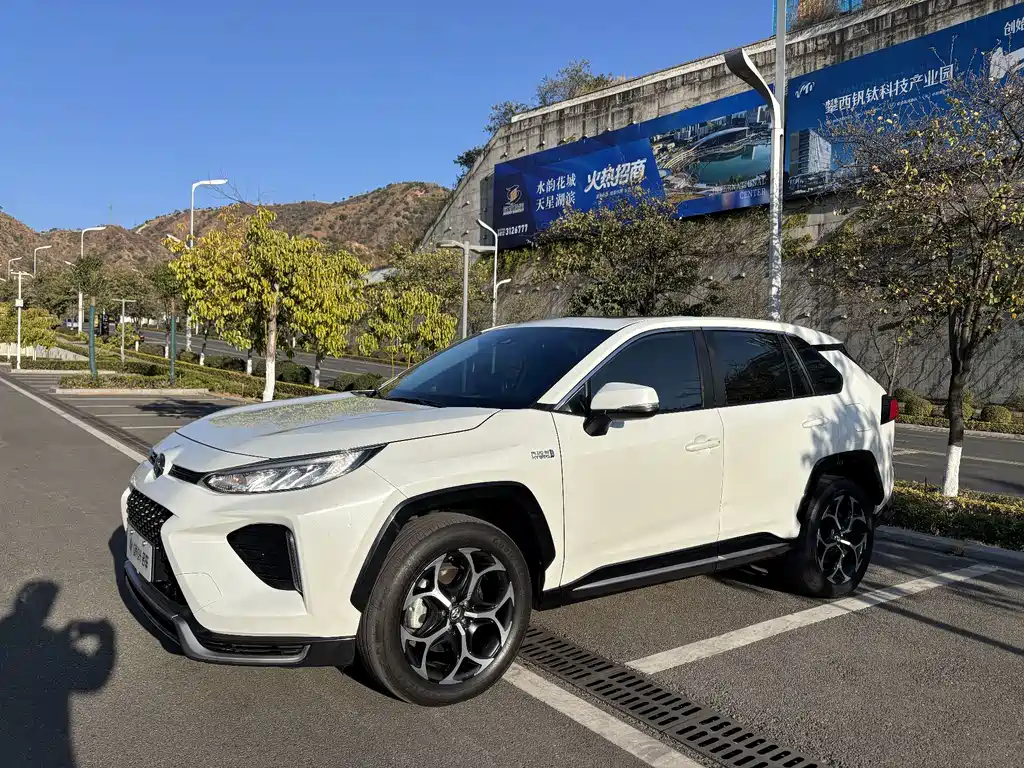 TOYOTA WEILANDA NEW ENERGY