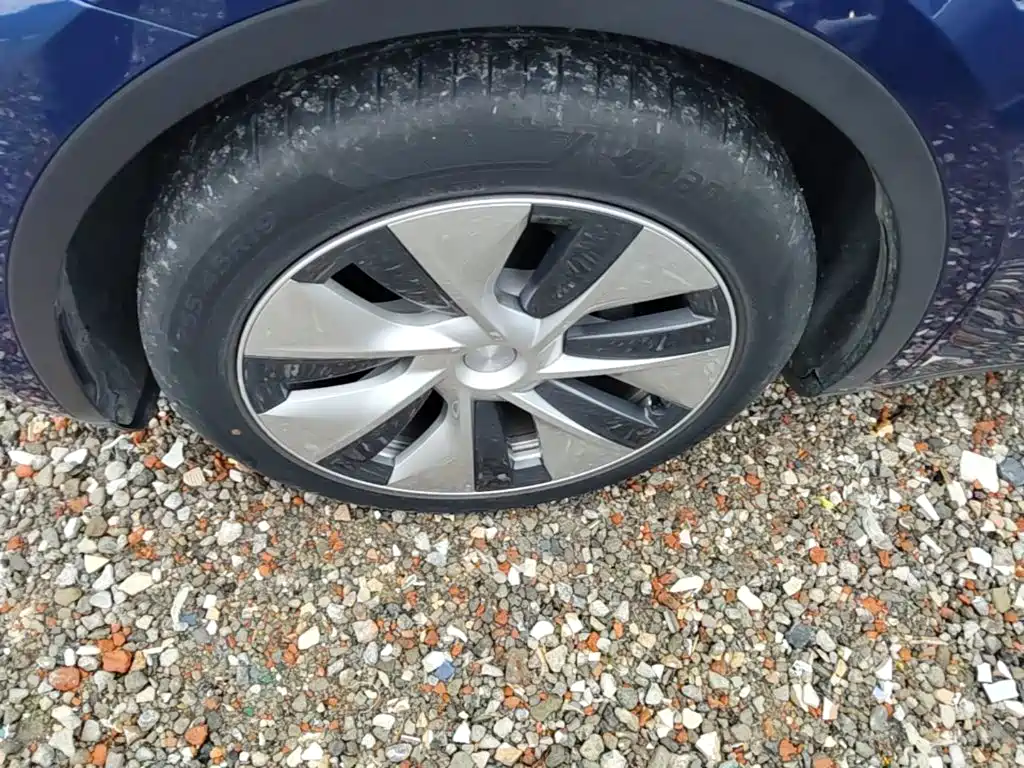 Tesla Model Y — миниатюра 23