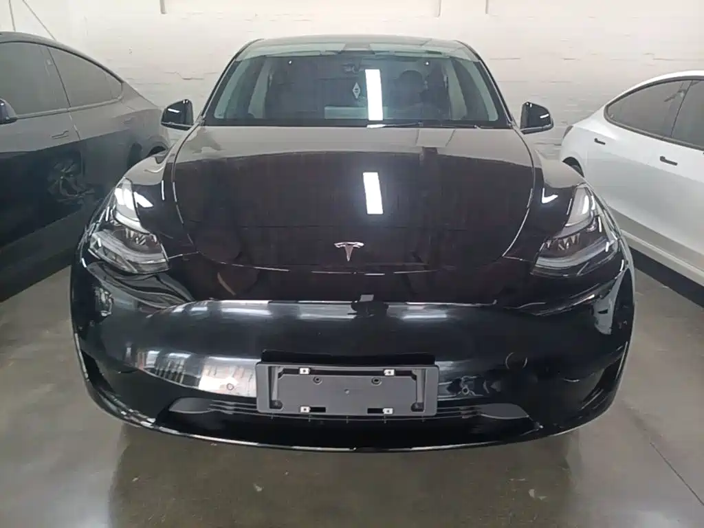 Tesla Model Y — миниатюра 3