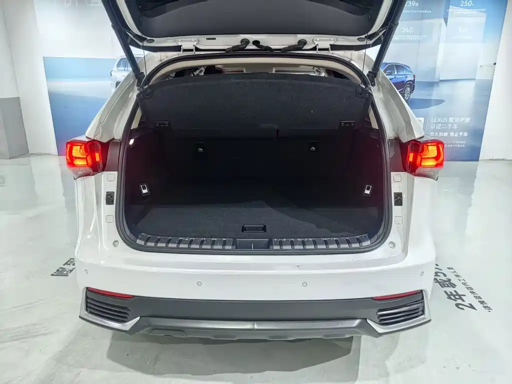 Lexus NX — миниатюра 11