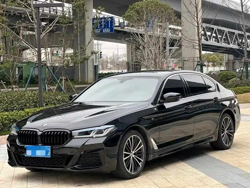 BMW 5 Series 2019