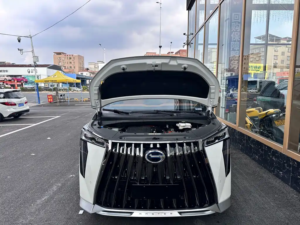 GAC Motor Trumpchi Xiangwang M8 — миниатюра 10
