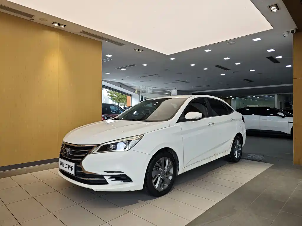CHANGAN YIDONG DT