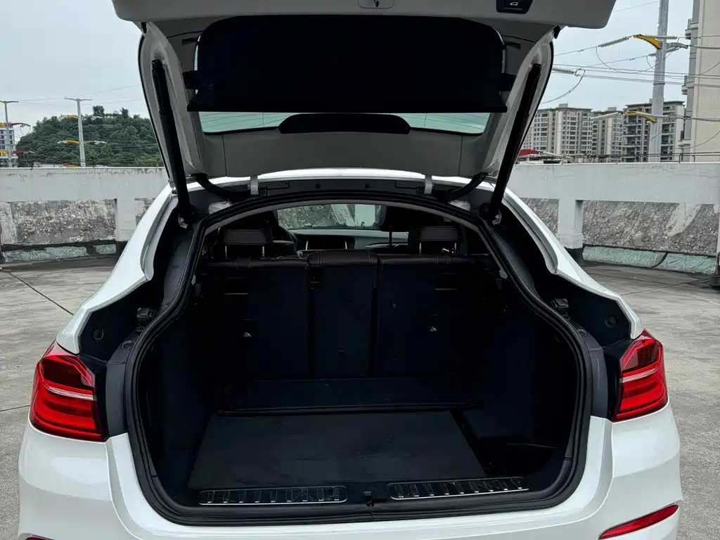 BMW X4 — миниатюра 5