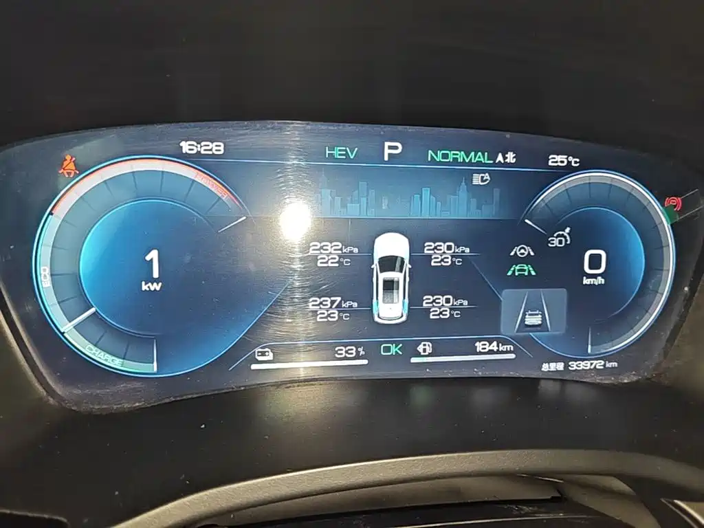 BYD PLUS New Energy — миниатюра 12