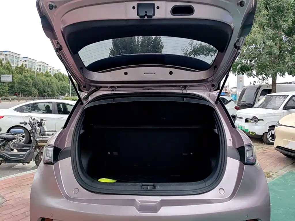 BYD Dolphin — миниатюра 19