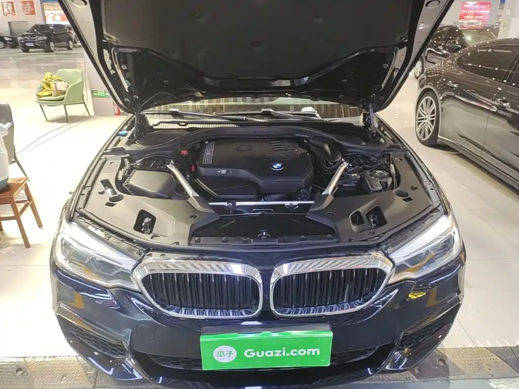 BMW 5 Series (Import) — миниатюра 20
